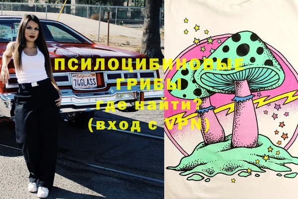 не бодяженный Елабуга