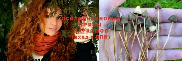 не бодяженный Елабуга