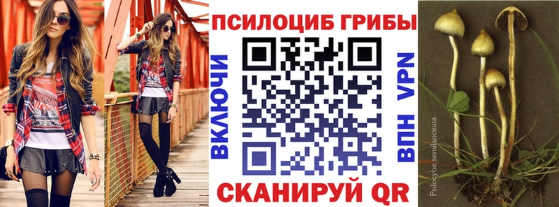 Галлюциногенные грибы MAGIC MUSHROOMS  МЕГА   Короча 